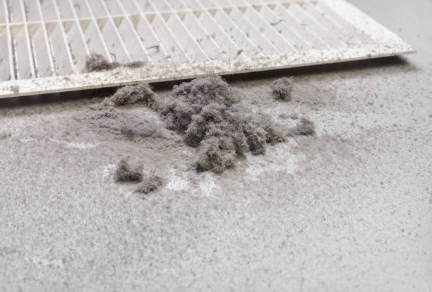 Best Affordable Air Duct Cleaning  in Lakeland, FL